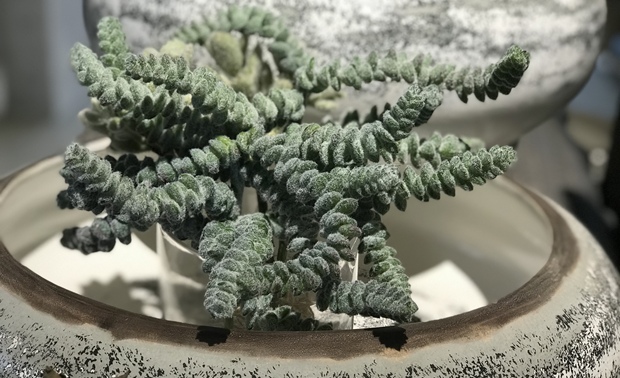 深圳当代艺术与城市规划馆