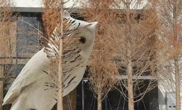 ▲此图中猫头鹰装置为示意图，具体以实物为准。