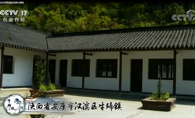 大山里的中国传统建筑文化
乡村振兴首先要文化复兴
