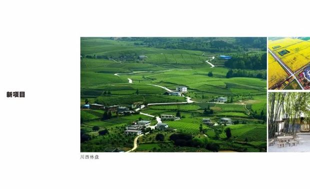 艺术

纵观世界住宅的发展史，可以看出艺术在私宅设计中的地位日益突显。这也与我们一贯坚持的设计“科技、自然、生态、艺术”的方向相暗合。

我们与成都青年艺术家合作，将一些独具当地人文性的艺术品引入到私宅设计之中，不仅是成都符号，更是内在精神力的承载。

作品中的艺术

作品《白麓》的餐厅中挂有一幅来自四川雅安的画家侯俊杰的《玉兰》，与室外的树枝交相呼应，好像在墙面开了一扇窗。