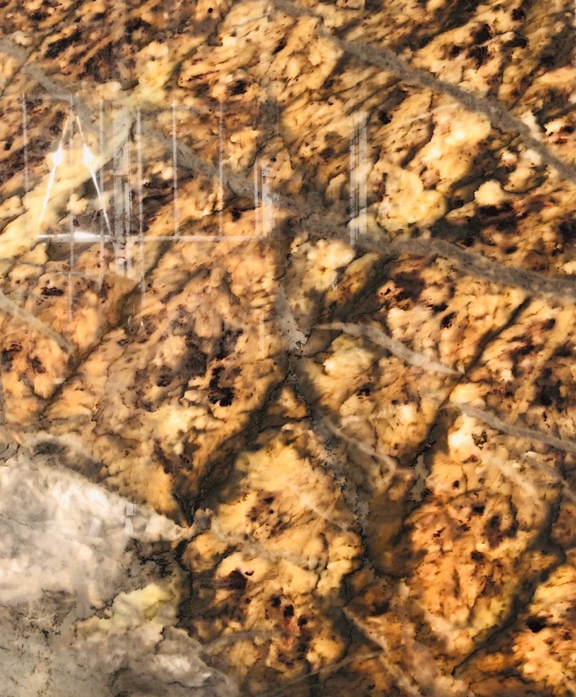 珊瑚海