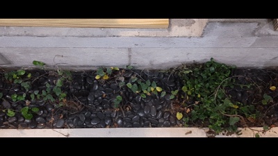 ▲间隔两小时自动灌溉

这条很长的“绿化带”里面铺设了鹅暖石并种满了常绿藤本植物“薜荔”，并设计了间隔两小时自动灌溉的装置。

丨乐学   ——陪伴成长、创造记忆

在一层楼梯的下方，放了一块“有故事”的绘图桌，它是设计师张清平使用了40年的绘图桌。
对于设计师来说，绘图板便算是吃饭的工具，几乎见证了张清平的整个设计生涯，而在使用它之前，它已经有20年历史，可以说这是一块已经“60岁”的绘图桌了。
比较有意义的是上面还贴着设计师张清平第一套设计作品的手绘图。让我们来欣赏下大师张清平40年前的设计手绘吧！