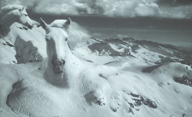 蒙太奇图例②

这是平面中蒙太奇的对比，图①更机械更生硬，图②充分体现了其有机的拼贴和组合，意涵也更加的自然。
经过对张清平老师的几次访谈以及作品的了解，笔者尝试对大师的“心奢华——蒙太奇”做出阐释，如有谬误，纯属笔者水平问题。

