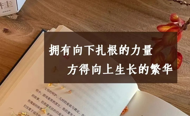 《道德经》：“图难于其易，为大于其细。”
成长是一场漫长的修行，而真正的成长，不仅在于外表的枝繁叶茂，更在于内心的深深扎根。向上成长的力量，往往来自于向下扎根的深度。