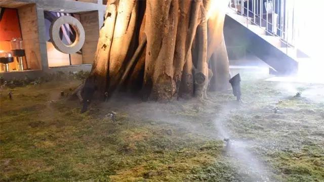 为了让榕树得以接受阳光雨水的滋养，设计师特意在顶上设计了可开可合的开放式的天窗。