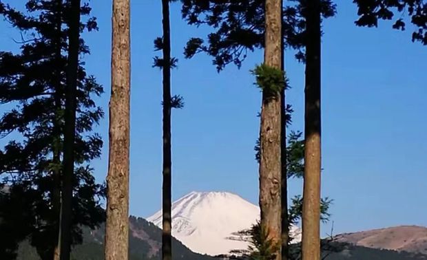 艺术源自生活，同角度还原笠松紫浪绘画作品