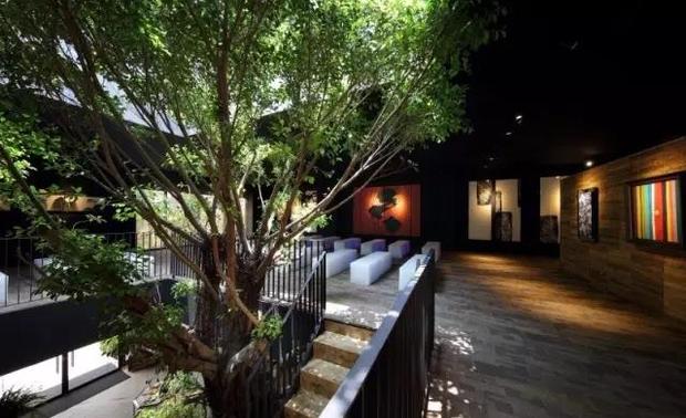 随着时间的推移，榕树会愈发的枝繁叶茂，并赋予空间历久弥新的生命气息。
