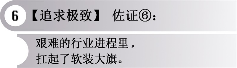 软装不仅仅是家具陈设，而是对器物功能的充分了解，生活方式的理解，对生活品质的落地。而中国现在的情况是，虽然客户的物质财富达到了一定的高点，但精神的高度远未达到。并且硬装软装尚未统一，软装作为硬装的下游做起来很难。
客户一般会先找设计师做硬装，软装作为硬装之后，意味着客户已经被别人影响过，而客户还要支付高昂的软装设计费。如果没有精益求精的动机与实力，是很难获得客户认可的。而现在有很多的客户硬装做完之后再来找葛亚曦，其中也不乏找大师做过之后又来找他的项目，这是最好的例证。
中国软装设计师和国外完全不一样，国外的设计师往往是从建筑到室内统一完成，而软装设计师往往是文化、生活方式的设计师，客户一般是非富即贵。在中国已不缺“富有”，“高贵”却是罕见，再加上经济下行，行业艰难，在这样的环境和条件下葛亚曦的LSD现在却发展为顶级软装公司。一定是这种追求极致所带来的差异化竞争力在逆市中占据了赢家优势。