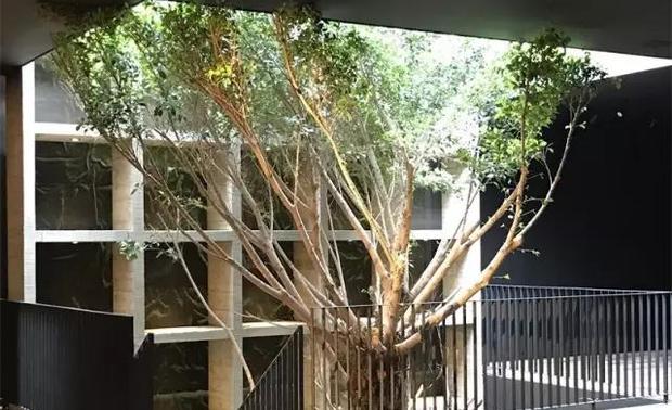 ▲施工中期现场