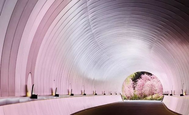 待到樱花盛放，通道似乎真的将人引向心驰神往的“世外桃源”