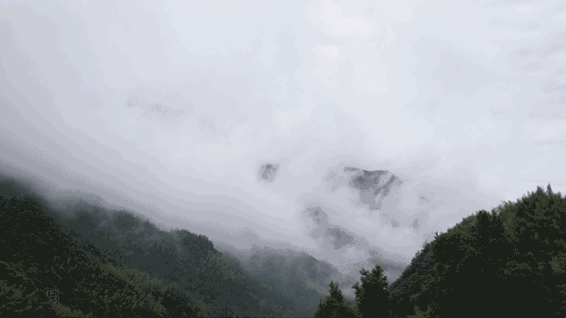 宋代诗人沈晦在《初至松阳》诗中曾这样描绘松阳:“惟此桃花源 ,四塞无他虞。”站在民宿的观景台俯瞰青山幽谷,会觉得诗中描绘的"桃花源"便是眼前的景象。“忠于 自然,融于山野”是民宿选址的初衷,也是最大的卖点。