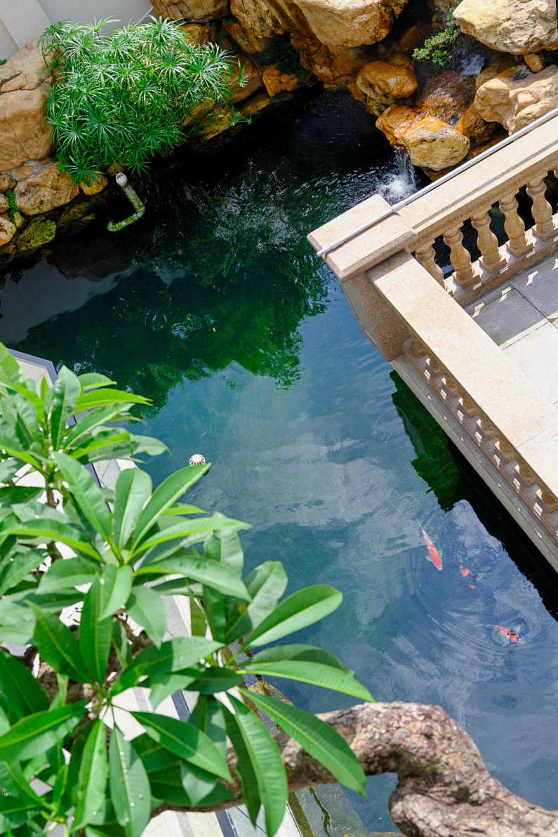 进入茶室，便得一味茗香，去除繁杂的装饰，呈现东方特有的内敛沉稳。禅、雅、静……淡雅、东方，充满意境，在这里观景品茶岂止舒心二字能概括。