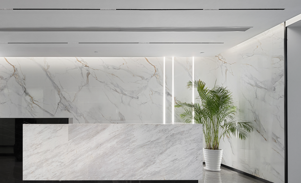 清晰的线条和简单的结构让员工办公场所更加整洁有序也有助于提升工作效率；开放式办公室布局，减少信息隔阂和沟通误解促进工作流程的协调与配合。将自然景观巧妙引入办公空间，忙碌的工作时光因为大自然的恩赐而变得缤纷斑斓。