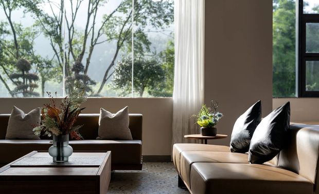 休息区

背靠远处山景 窗外的阳光洒进来
给这一切镀上了一层淡金色