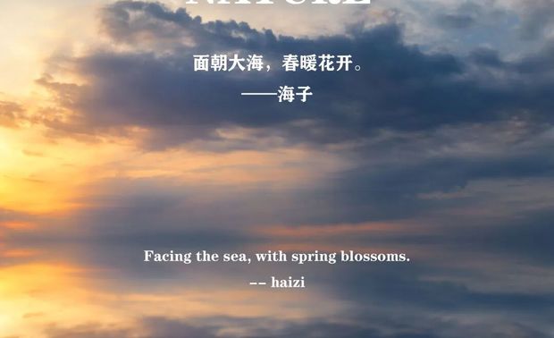 建筑与环境的相互呼应

犹如潮起潮落
在每日一样的自然规律中却总能发现不一样的惊喜和浪漫我想这就是设计的本质用常规的建材
塑造出一个每日都会有不同景色的空间给人无限的遐想和期待