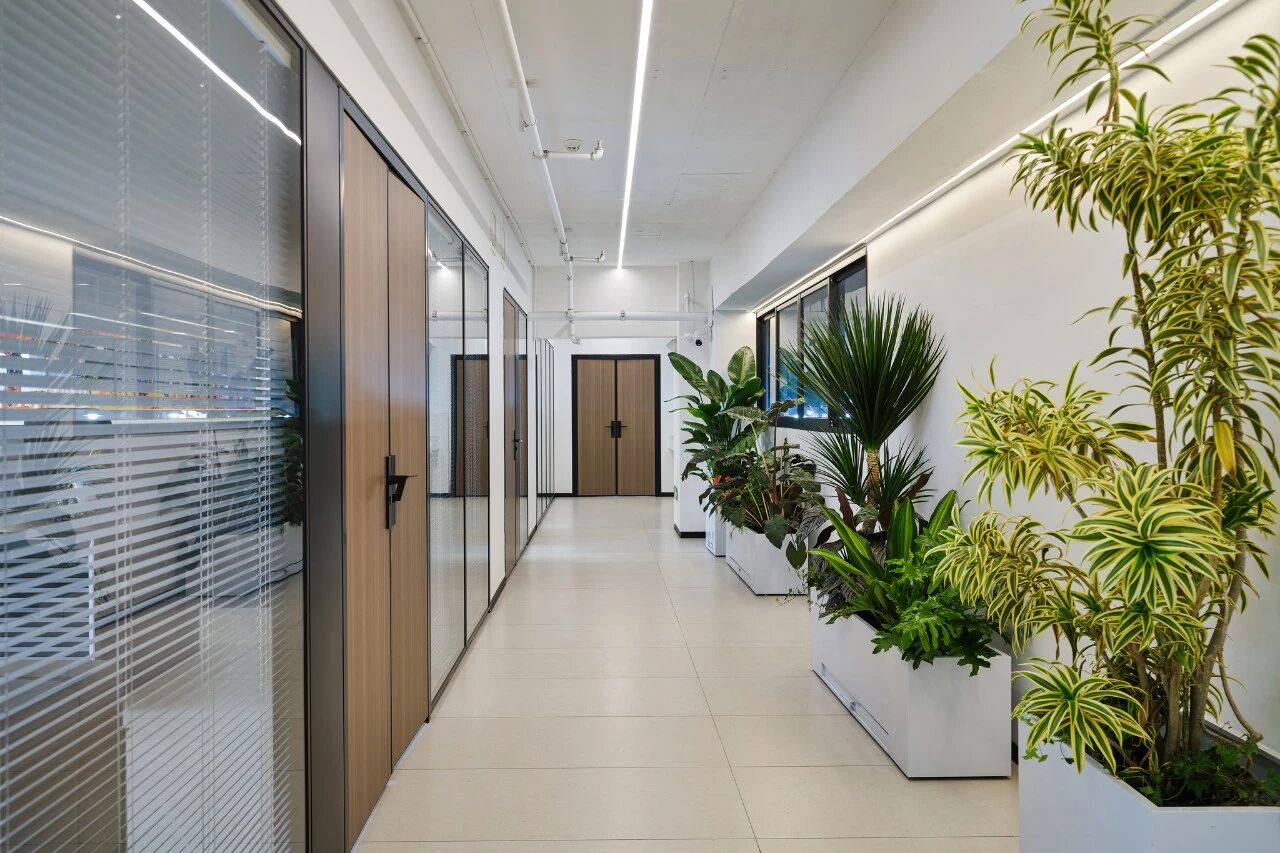 浅色系的地面与墙面，搭配原木色的家具，在明亮的自然光线下，营造出清爽、专注的办公氛围，让效率与舒适在此共生。

【会议室】

简洁高效的决策空间

会议室以简洁的线条与克制的色彩，打造出专注、高效的会议氛围。浅木色的会议桌搭配黑色网布椅，既现代又实用；大面积的玻璃窗引入自然光，让思想的碰撞在明亮、开阔的环境中自然发生。