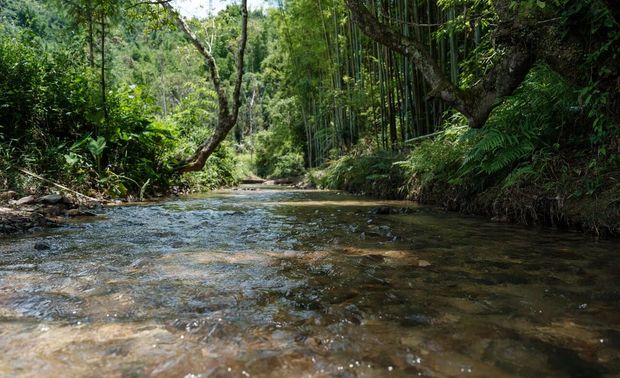 深思设计团队充分借助环境优势，对立面结构充分剖析，以建筑的逻辑性塑造度假型酒店的艺术感。建筑主体里面以灰白为基调，栏栅则沿用当地老房子的土砖色加以与周边散落的民居互融。建筑在地形上叠加，在立体形态上强化了横向平缓的延伸感，用混凝土凝聚成一个极简的建筑几何框架。依山而建，丰盈的山景，装满了万物与深情。