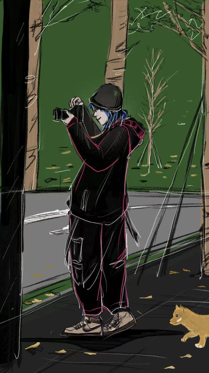 王晨月